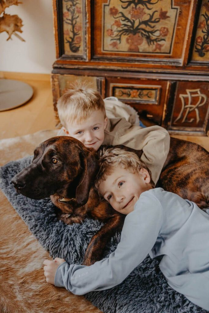 hotelgluecksschmiede-hunde-familie