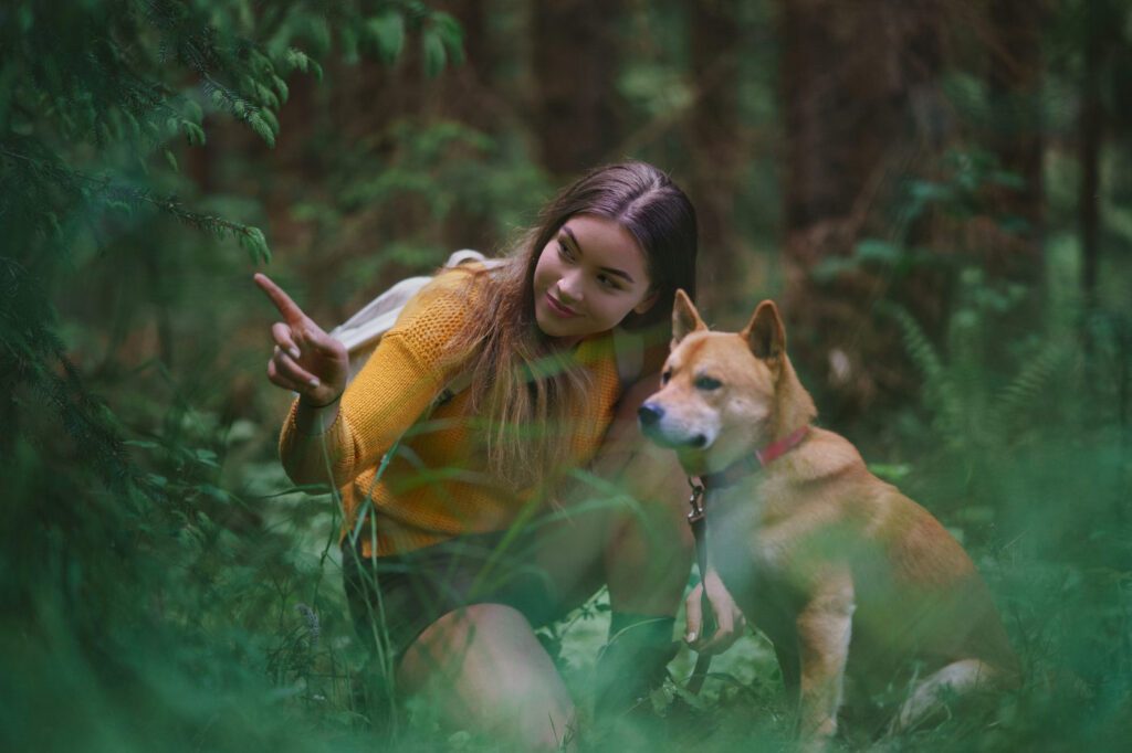 hotelgluecksschmiede-hunde-gemeinsam-unterwegs